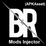 BR Mods Injector