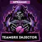 teamsrx injector