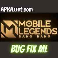 Bug Fix ML